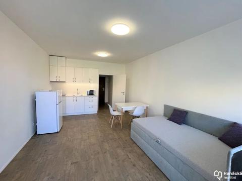Pronájem bytu 1+kk, Olomouc, Wolkerova, 30 m2