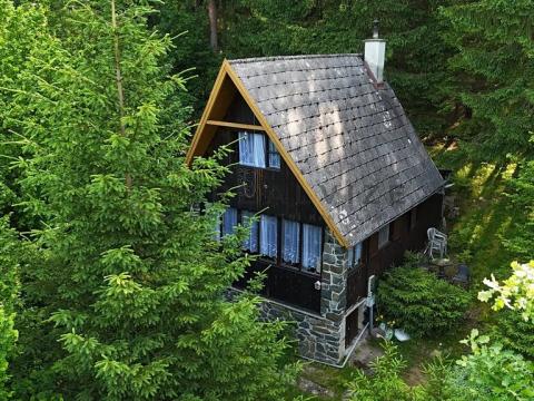 Prodej chaty, Borovnice, 75 m2