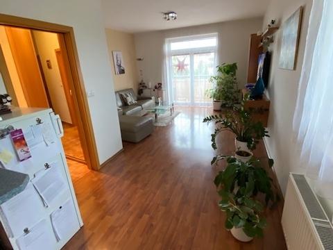 Pronájem bytu 3+kk, Olomouc, Mošnerova, 112 m2