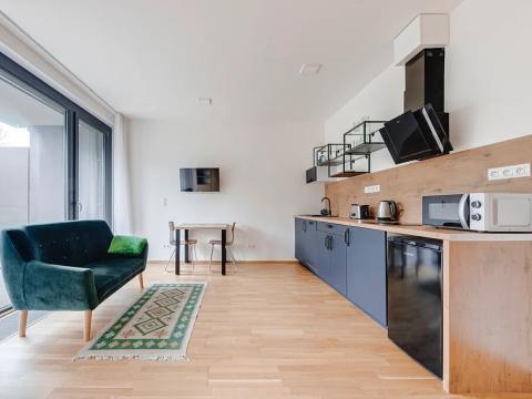 Pronájem bytu 1+kk, Praha - Holešovice, U průhonu, 35 m2