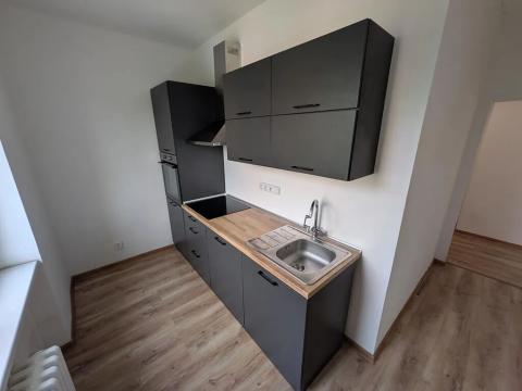 Pronájem bytu 2+1, Most, Maxe Švabinského, 55 m2