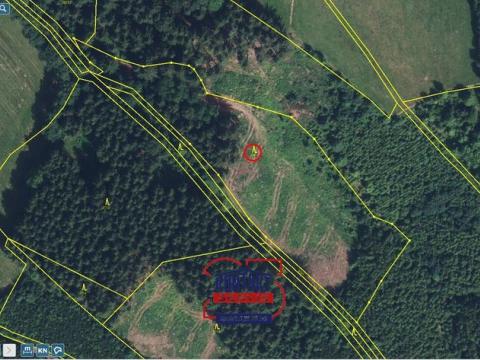 Prodej lesa, Svojek - Tample, 10149 m2