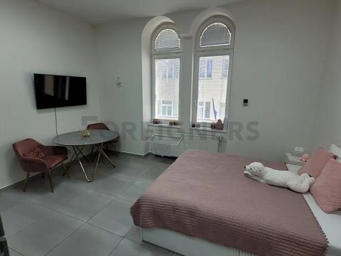 Pronájem bytu 1+kk, Brno, Jakubské náměstí, 30 m2