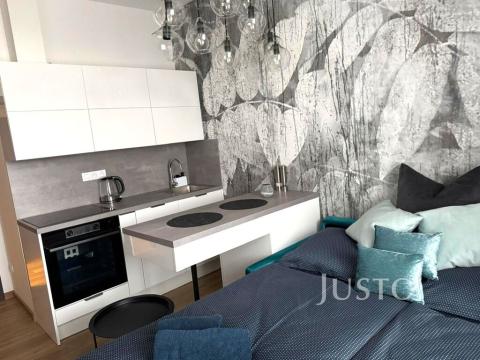 Pronájem bytu 1+kk, Písek - Pražské Předměstí, Vladislavova, 20 m2