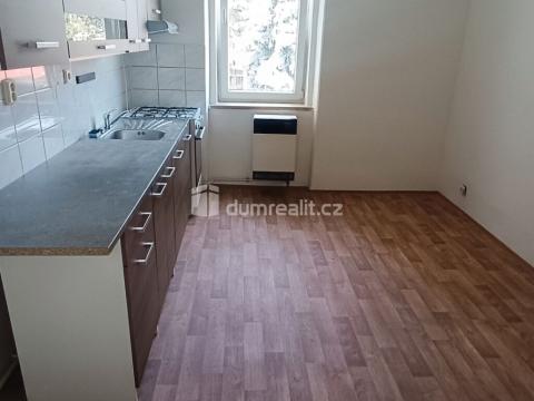 Pronájem bytu 1+1, Děčín - Děčín VI-Letná, Fibichova, 44 m2