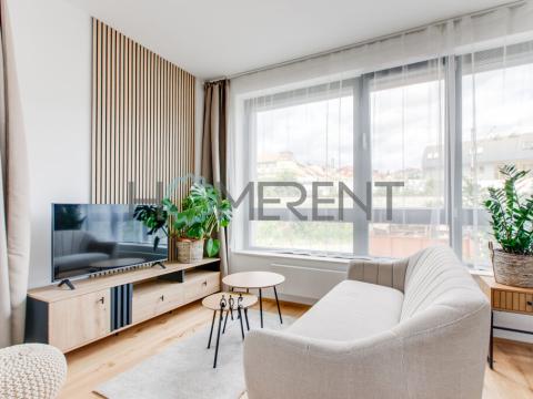 Pronájem bytu 1+kk, Praha - Nusle, Závišova, 30 m2