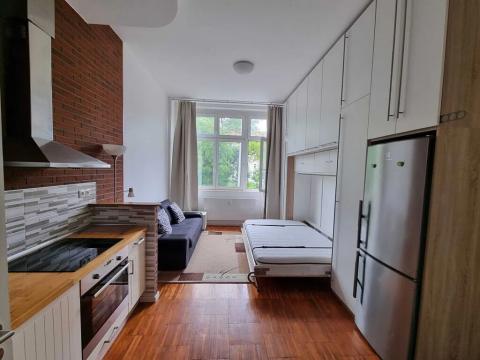 Pronájem bytu 1+kk, Praha - Střešovice, Parléřova, 26 m2