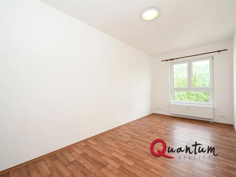 Pronájem bytu 1+kk, Otvovice, 30 m2