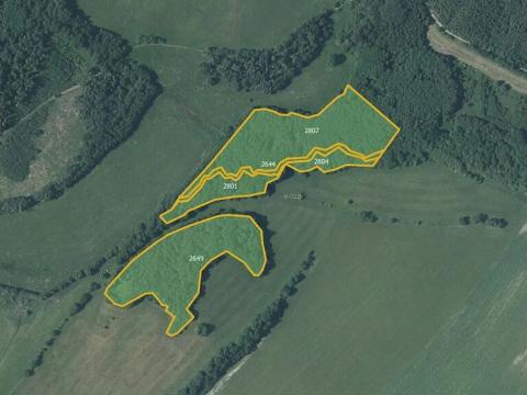 Prodej lesa, Budišov nad Budišovkou, 40440 m2