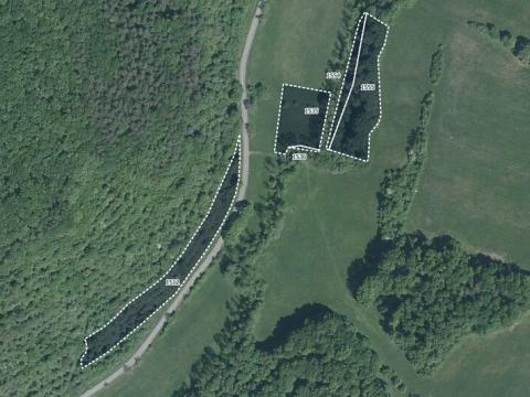 Prodej louky, Bojkovice, 27635 m2