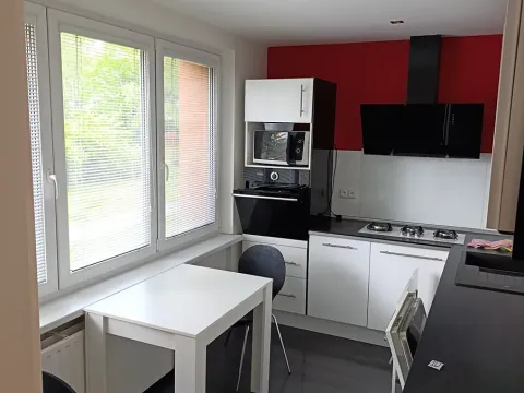 Pronájem bytu 4+1, Ostrava, Rottrova, 89 m2