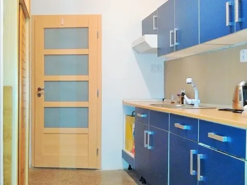 Pronájem bytu 1+kk, Praha - Nusle, Doudlebská, 32 m2