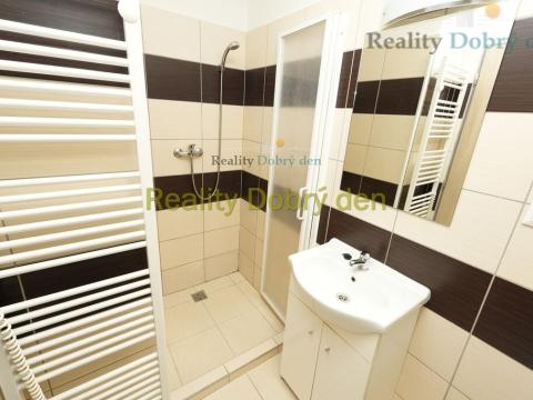 Pronájem bytu 1+kk, Opava, Hany Kvapilové, 18 m2