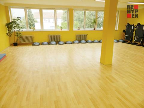 Pronájem komerční nemovitosti, Liberec - Liberec III-Jeřáb, Oldřichova, 130 m2