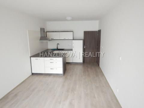 Pronájem bytu 2+kk, České Budějovice - České Budějovice 2, Husova tř., 55 m2