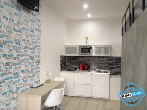 Pronájem bytu 1+kk, Ostrava, U Sokolovny, 26 m2