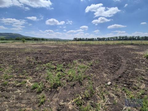 Prodej pozemku pro bydlení, Dolní Dunajovice, 619 m2