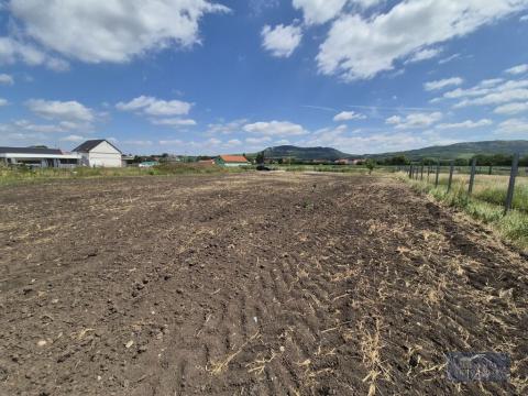 Prodej pozemku pro bydlení, Dolní Dunajovice, 1250 m2