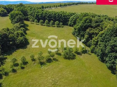 Prodej louky, Vizovice, Těchlov, 7426 m2