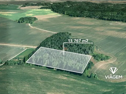 Prodej podílu lesa, Štítary, 3941 m2