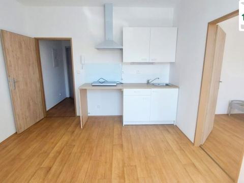 Pronájem bytu 1+1, Cheb, Dragounská, 26 m2