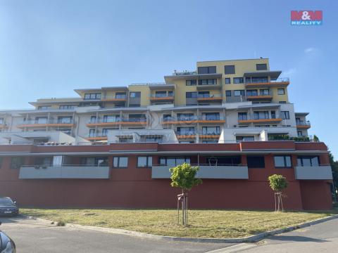Pronájem bytu 2+kk, Ostrava, Sokolovská, 66 m2