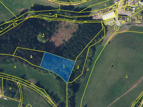 Prodej lesa, Hronov - Zbečník, 3304 m2