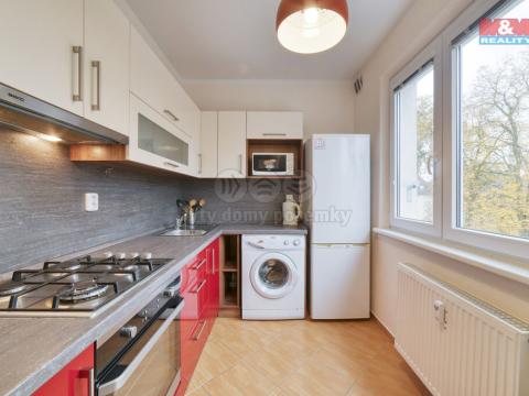 Pronájem bytu 2+1, Františkovy Lázně, Česká, 53 m2