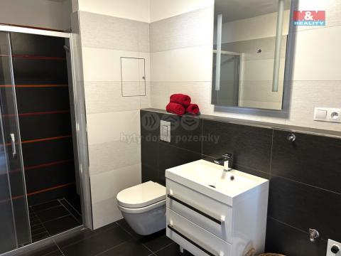 Pronájem bytu 2+kk, České Budějovice - České Budějovice 3, B. Smetany, 50 m2