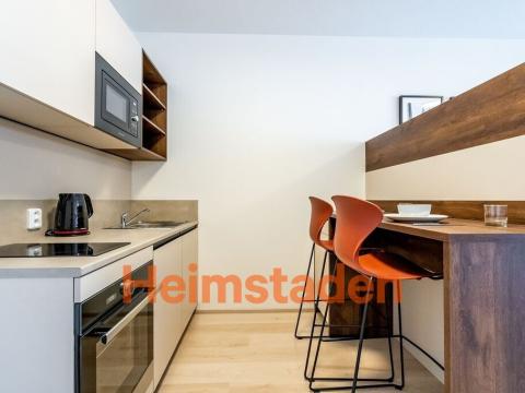 Pronájem bytu 1+kk, Plzeň - Jižní Předměstí, Magisterská, 35 m2