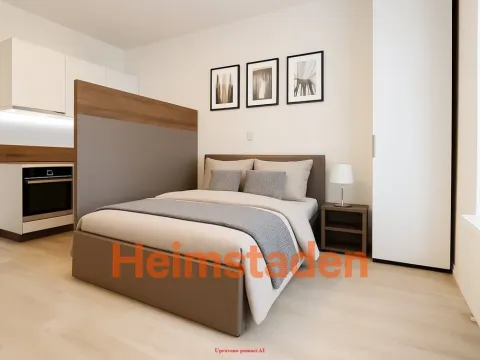 Pronájem bytu 1+kk, Plzeň - Jižní Předměstí, Magisterská, 41 m2