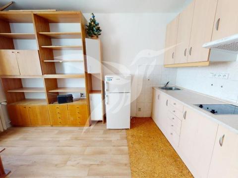 Pronájem bytu 1+kk, Plzeň, Skupova, 20 m2