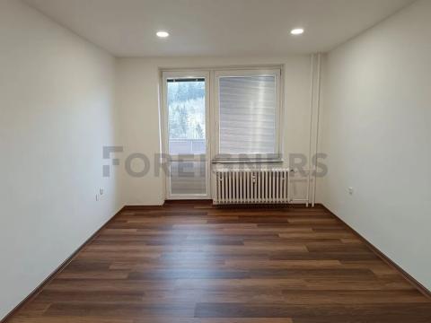 Pronájem bytu 1+1, Blansko, Salmova, 39 m2