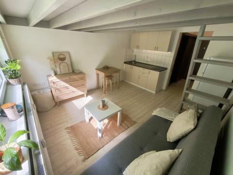 Pronájem bytu 1+kk, Brno - Bystrc, Rakovecká, 25 m2