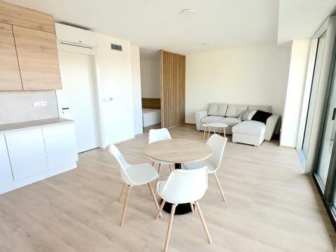 Pronájem bytu 1+kk, Brno, Nové sady, 48 m2