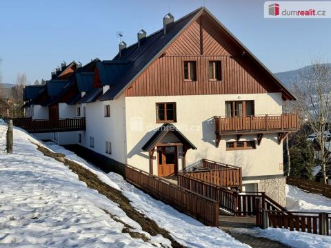 Pronájem bytu 3+kk, Vítkovice, 74 m2