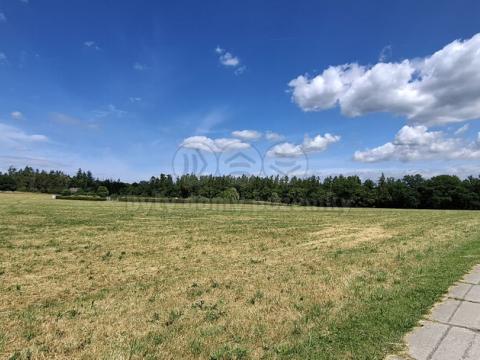 Prodej louky, Hradištko, 1808 m2