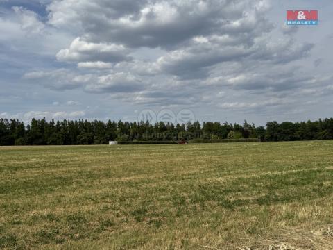 Prodej louky, Hradištko, 1831 m2