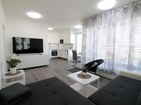 Pronájem bytu 1+kk, Brno, Firkušného, 44 m2