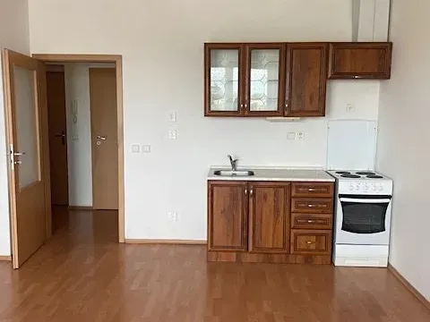 Pronájem bytu 1+kk, Olomouc, Družební, 40 m2