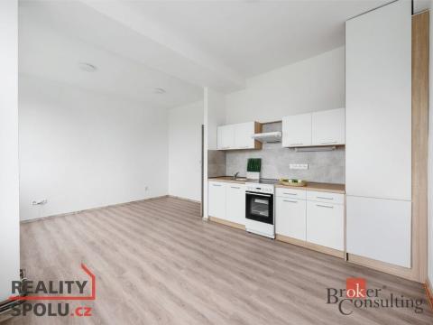 Pronájem bytu 2+kk, Mlékojedy, 64 m2