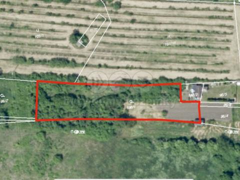 Prodej zahrady, Chožov - Třtěno, 2311 m2