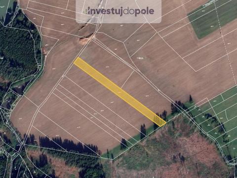 Prodej pole, Kamenice nad Lipou - Vodná, 6113 m2