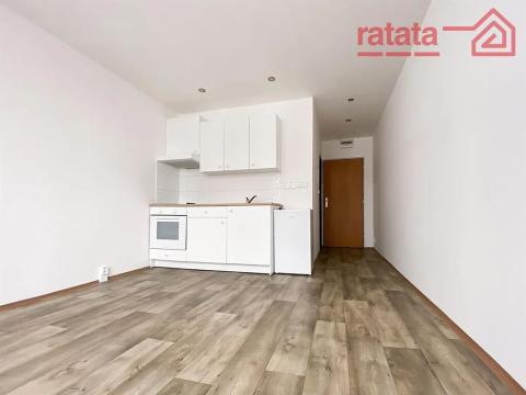 Pronájem bytu 1+kk, Kadaň, 20 m2