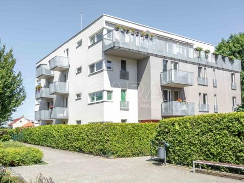 Pronájem bytu 2+kk, Brandýs nad Labem-Stará Boleslav - Brandýs nad Labem, Polní, 53 m2