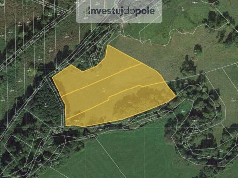 Prodej louky, Janovice nad Úhlavou - Petrovice nad Úhlavou, 16774 m2