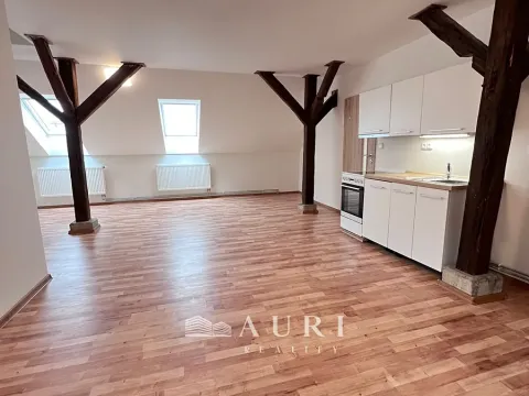 Pronájem bytu 1+kk, Rakovník, Havlíčkova, 58 m2