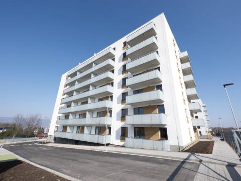 Pronájem bytu 2+kk, Teplice, Novoveská, 46 m2