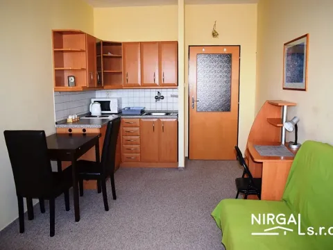Pronájem bytu 1+kk, Praha - Michle, V dolině, 31 m2