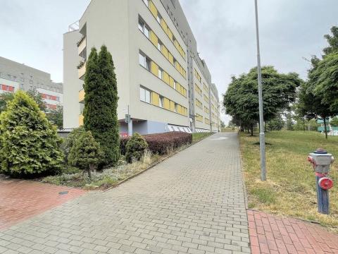 Pronájem bytu 1+kk, Olomouc, gen. Píky, 39 m2